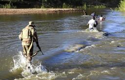 Smugglers Construct Wooden Bridge Across Limpopo River