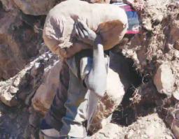 Soldiers, Police Join Looting At Gaika Mine - Report