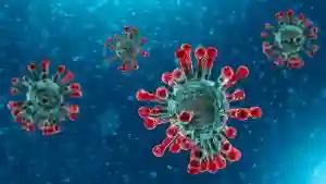 South Africa Confirms First Coronavirus Case