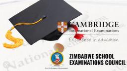 South Africa, Namibia, Swaziland, etc Interested In Adopting Our Examinations - ZIMSEC  Chair