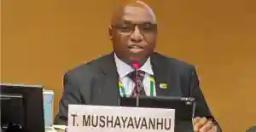 Taonga Mushayavanhu Appointed Overall Head Of The President's Secretariat