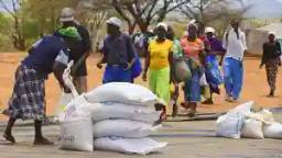The Government Is Behind The Food Crisis: MDC