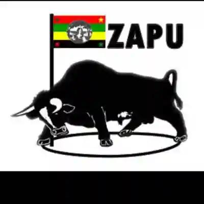 The Implementers Of Terror Under Mugabe's Regime Are Now In Power - ZAPU Lays Into ED
