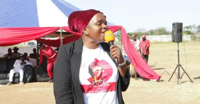Timveos Drags Khupe, Mwonzora To Court Over Parly Dismissal