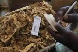 Tobacco Firm Fails To Pay Transporters, Cites 'COVID-19'