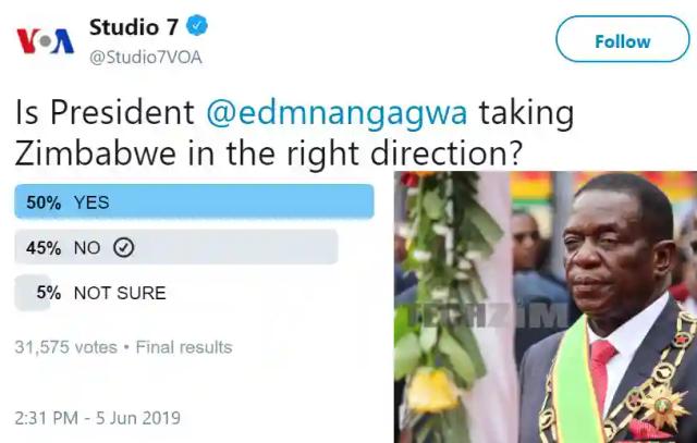 Twitter Poll Results Meaningless  - Techzim
