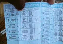 Unavailability Of Ballot Papers Mar Zimbabwe's General Elections