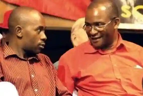 Unlike You, Khupe Mwonzora & Komichi Never Transported Mugabe's Gushungo Dairly - Mwonzora Takes A swipe At Chamisa, Insinuates Chamisa Was Bought By Zanu PF