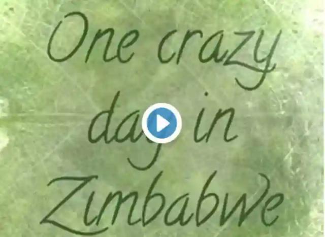 Video: Adventurous people water skiing on flooded roads in Zimbabwe