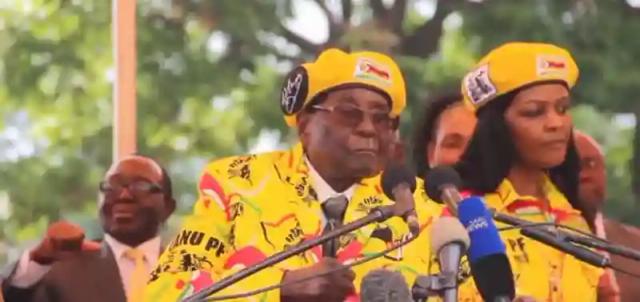 Video: Grace Mugabe Is Still In The Country Says Zanu-PF Official