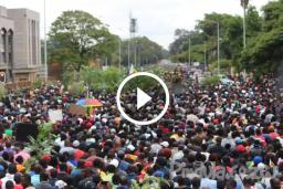 Video: Huge Solidarity March Crowd at State House Demanding Mugabe Resignation