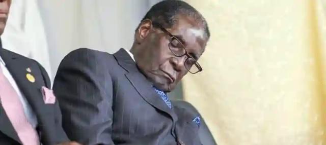Video: Malema calls for Mugabe to let go, tells  him "Grandpa It's Enough"