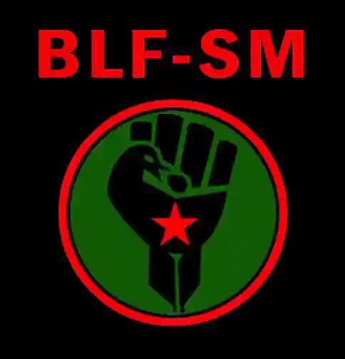 WATCH: Black First Land First Threatens An Armed Struggle in SA