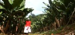 WATCH: How Banana farming Changed My Life - Banana Farmer Speaks