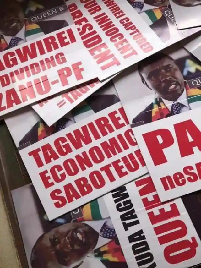 WATCH: SA Based Zimbabwean Stages One Man Anti ED Demo
