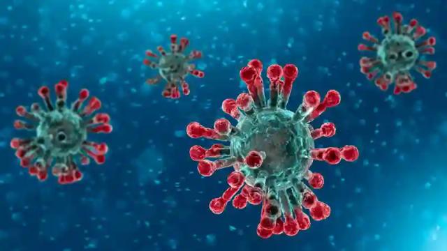 WATCH: South Africa Coronavirus Cases Rise To 38