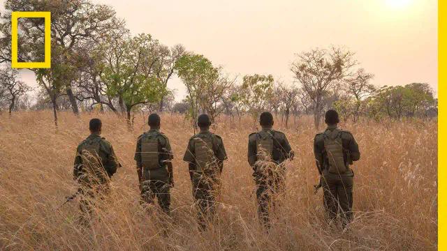 WATCH: The Akashinga Film , The Story Of An All Female Anti Poaching Squad On National Geographic