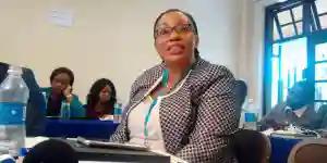 We Will Not Issue Voters' Roll With Photographs Because of Privacy, Security Reasons: Chigumba