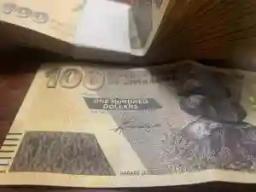 Wholesalers Reject Zimbabwe Dollar