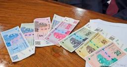 World Bank Distances Itself From Zimbabwe’s New Currency, ZiG