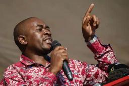 Zanu PF Is Operating Under Some Misconception That It Will Not Face The Wrath Of The People -  MDC