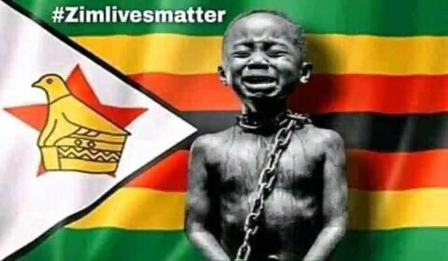 ZANU PF Official Speaks On The Meaning Of #ZimbabweanLivesMatter To The Party