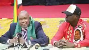 ZANU PF "Very Happy" With Delimitation Report - Mutsvangwa