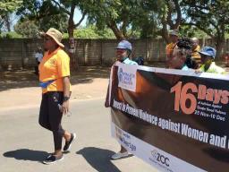 ZBC, ZRP, Musicians And Civic Organisations March To Raise Awareness On Gender-based Violence