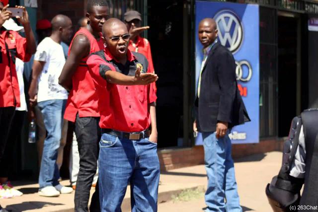 ZCTU Plans Prolonged, Peaceful Protests