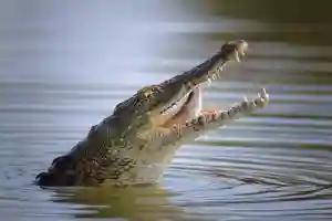 Zhombe Man Dragged From Makeshift Boat By Crocodile