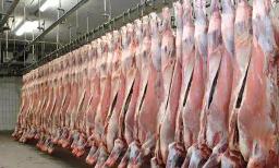 Zim Faces Imminent Shortage Of Meat