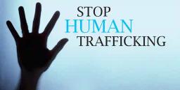 Zim Government Officials Complicit In Human Trafficking - Report