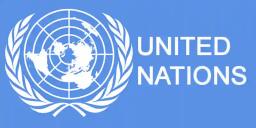 Zim On The UN Scrutiny Radar Once Again