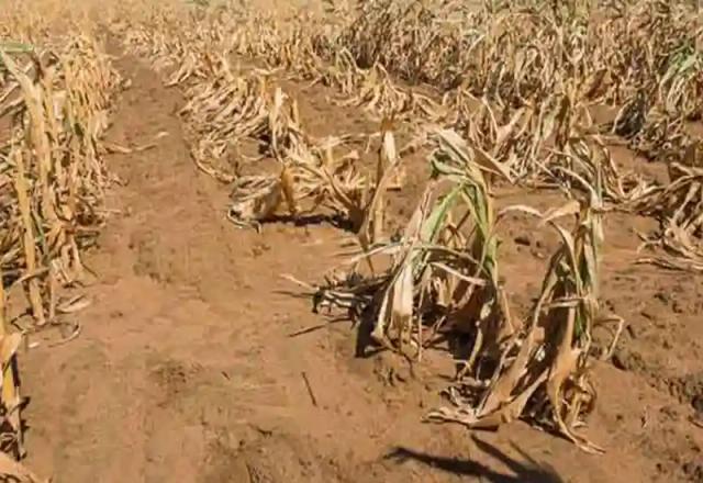Zim Records Lowest Rainfall In 40 Years