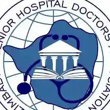 Zimbabwe Association of Doctors For Human Rights Elects New Board {Full Tex}