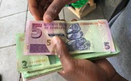 Zimbabwe Dollar Official Rate Now ZWL$4 883 Per US$1