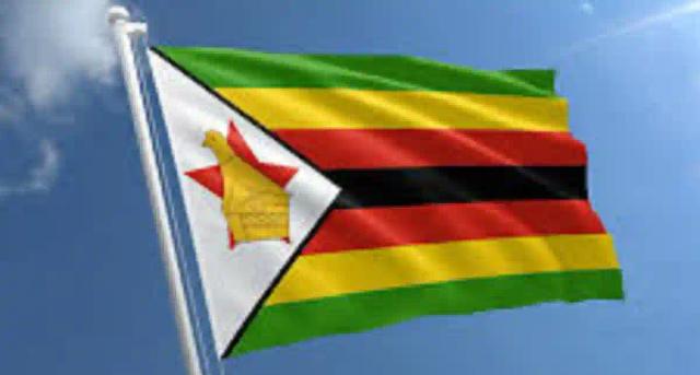 Zimbabwe Embassy In South Africa Reduces Operations