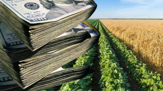 Zimbabwe Government Assumes ZW$2.77bn Debt After Farmers Fail To Repay