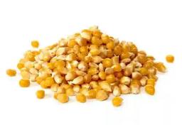 Zimbabwe Lifts Ban On Genetically Modified Maize Imports - REPORT