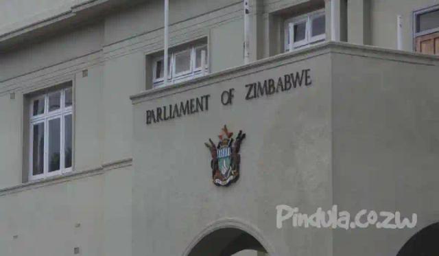 Zimbabwe Parliament Passes Law That Punishes 'Unpatriotic" Citizens