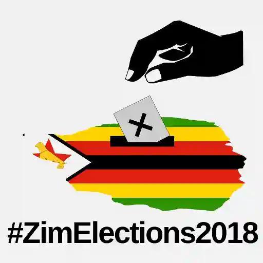 Zimbabwe Reacts To Edmund Kudzayi's Documentary, Excelgate Zimbabwe's Stolen 2018 Presidential Election