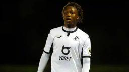 Zimbabwean-born Swansea City Starlet Suffers Serious Knee Injury