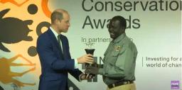 Zimbabwean Ranger Gets An Award From Prince William For Protecting Painted Dogs