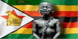 Zimbabwe's 43rd Independence Commemoration Marred By Decline In Freedoms - Amnesty International
