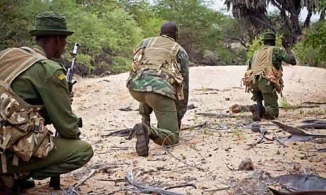 ZimParks Rangers Gunned Down 5 Poachers In 2020