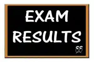 ZIMSEC Grade 7 Results Out, Accessible Online Today