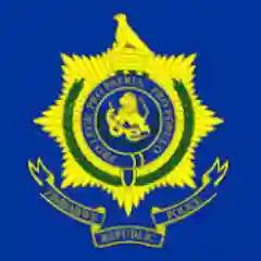 ZRP Arrests 2 For Smuggling Car From South Africa