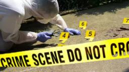 ZRP Seeks Information On Murder And Attempted Murder Suspect Saratoga Masere